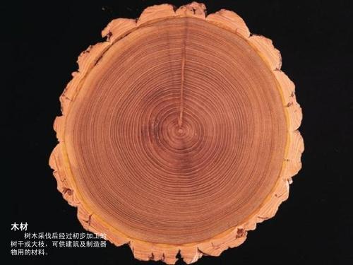 木材&mdash;材料与加工工艺&mdash;产品设计专业基础课ppt