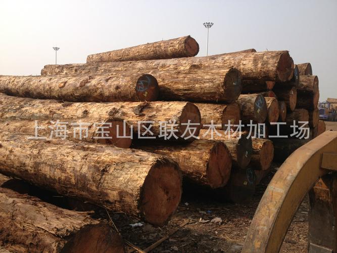 港口直销柏木原木 寺庙古建与寿材首选的香柏木源头批发