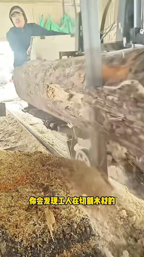 切割木材的带锯机 效率有多高