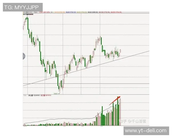 广州与重庆排球队赛后技术分析与战术复盘探讨