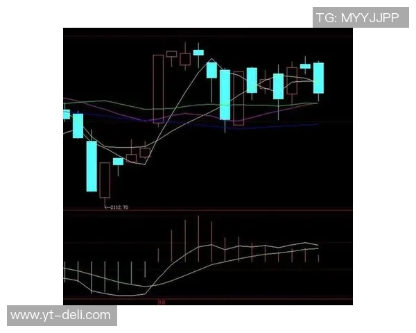 西安羽毛球队防守策略分析与比赛表现的得失总结