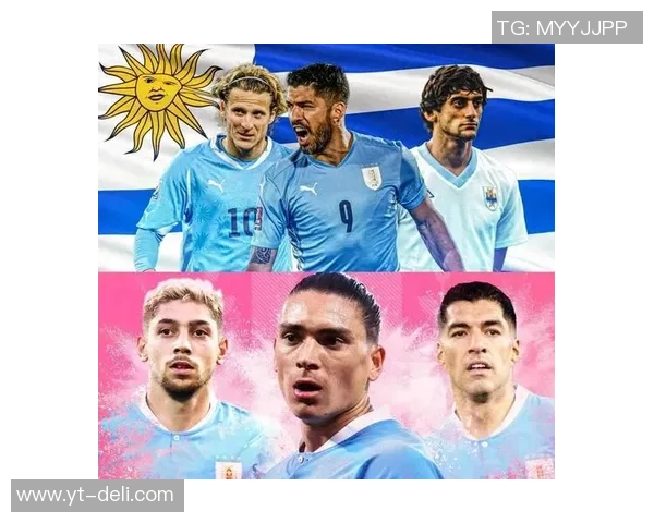 足球明星33号背后的故事与传奇成就揭秘