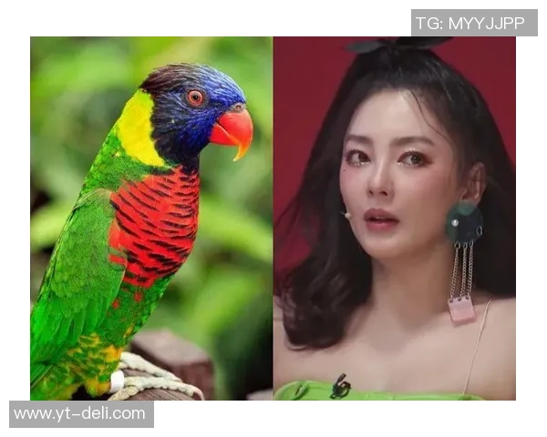 足球明星与银角神似引发热议网友纷纷调侃两者撞脸真相揭秘 足球明星与银角神似引发热议网友纷纷调侃两者撞脸真相揭秘