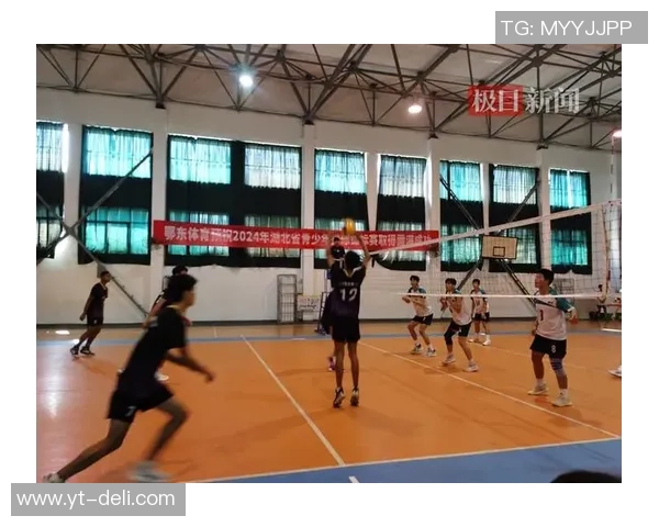 排球巨献：探秘武汉排球队的战术