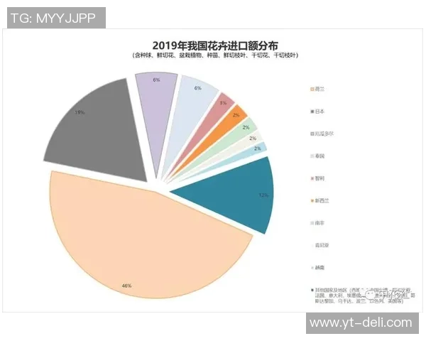 独家分析：上海滑板队的配合对比