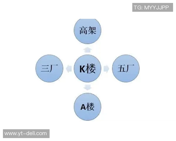 独家分析：V5的力量对比