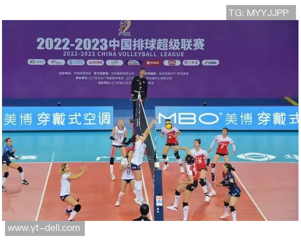 排球专题：聚焦深圳排球队的配合